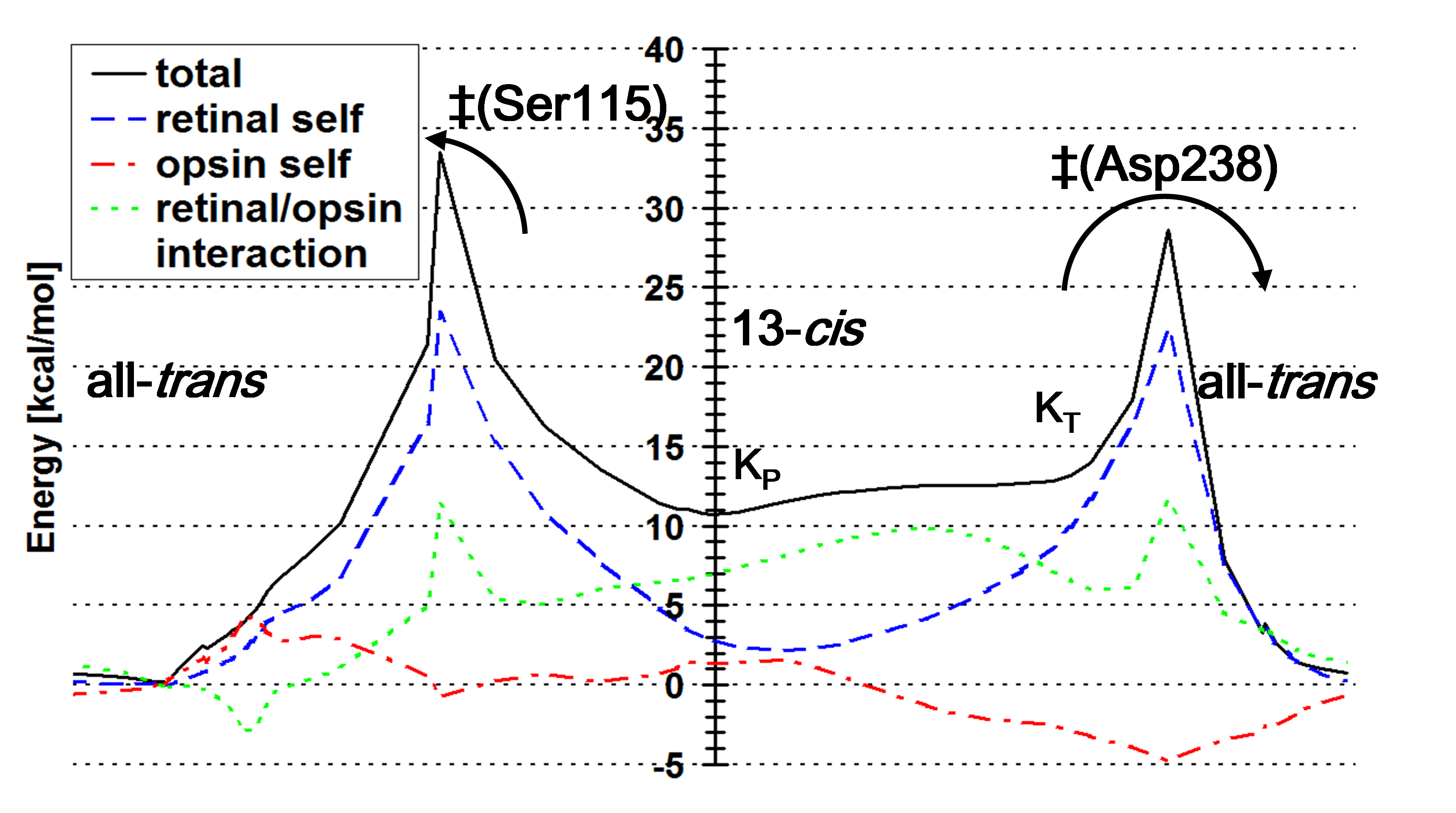 Energy profile of cis-trans isomerization